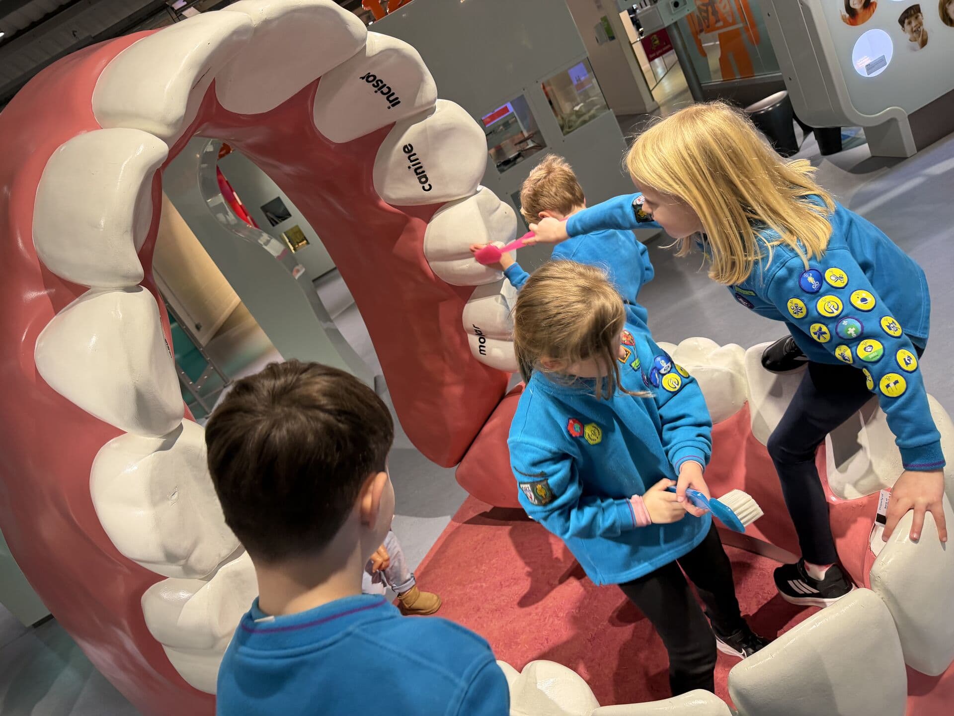 Beavers brushing the teeth of a giant model mouth at a science museum